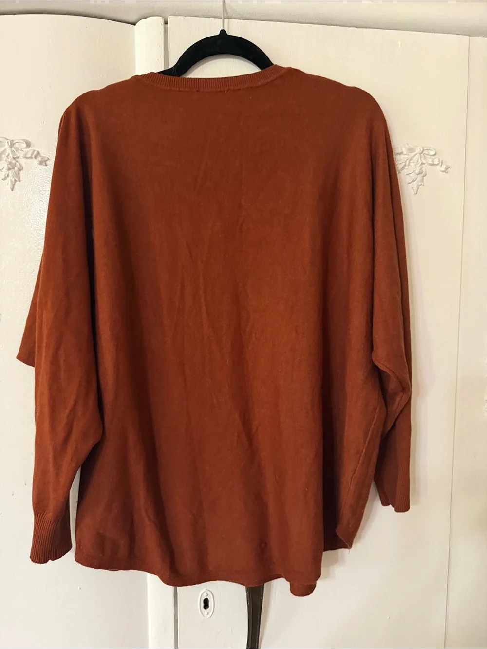 Classic V-Neck Sweater in Rust SZ 1X
